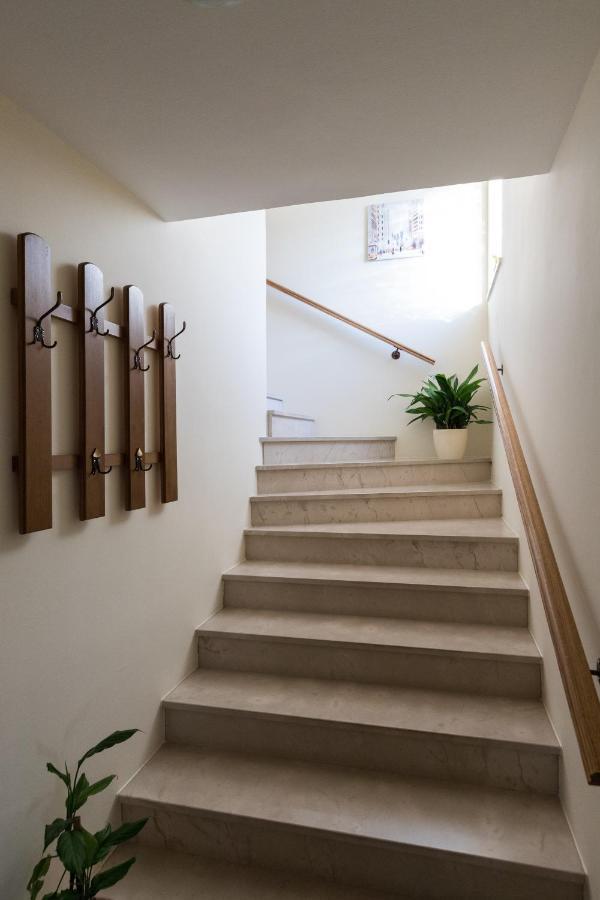 Apartment Zora Čilipi エクステリア 写真